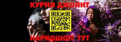 прущие грибы Будённовск