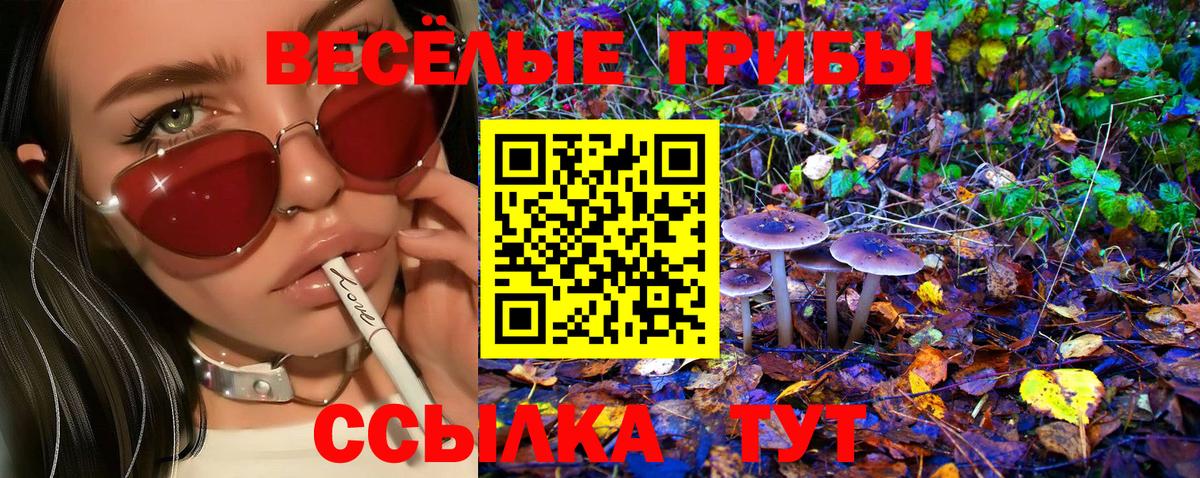 Псилоцибиновые грибы GOLDEN TEACHER  Вход с VPN  Шуя  Псилоцибиновые грибы ЛСД 