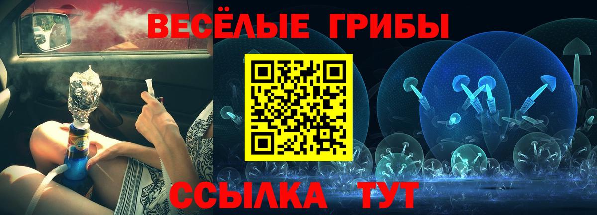 Галлюциногенные грибы GOLDEN TEACHER Шуя